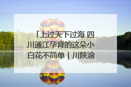 上过天下过海 四川通江孕育的这朵小白花不简单｜川陕渝网络名人巴中行