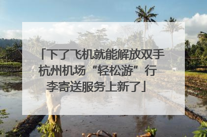下了飞机就能解放双手 杭州机场“轻松游”行李寄送服务上新了