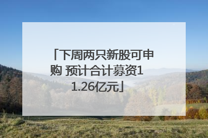 下周两只新股可申购 预计合计募资11.26亿元