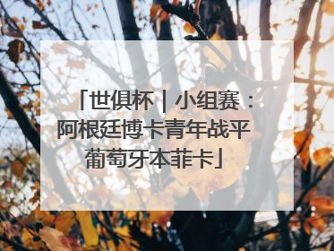 世俱杯｜小组赛：阿根廷博卡青年战平葡萄牙本菲卡
