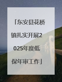 东安县花桥镇扎实开展2025年度低保年审工作