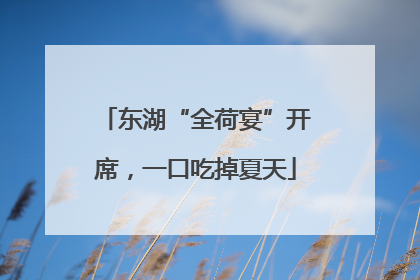 东湖“全荷宴”开席，一口吃掉夏天