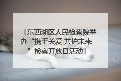 东西湖区人民检察院举办“携手关爱 共护未来”检察开放日活动