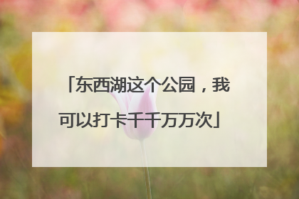 东西湖这个公园，我可以打卡千千万万次