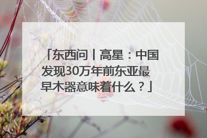 东西问丨高星：中国发现30万年前东亚最早木器意味着什么？