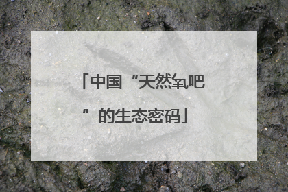中国“天然氧吧”的生态密码