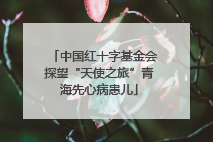 中国红十字基金会探望“天使之旅”青海先心病患儿