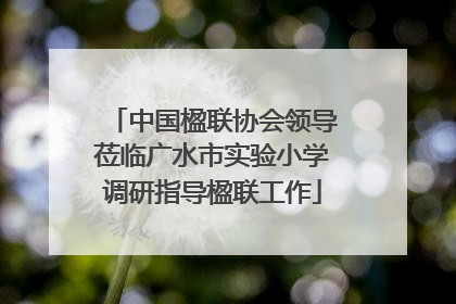 中国楹联协会领导莅临广水市实验小学调研指导楹联工作