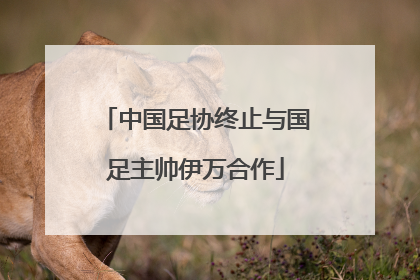 中国足协终止与国足主帅伊万合作