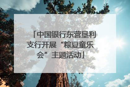 中国银行东营垦利支行开展“粽夏童乐会”主题活动