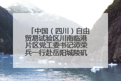 中国（四川）自由贸易试验区川南临港片区党工委书记谭荣兵一行赴岳阳城陵矶综保区考察