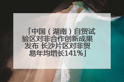 中国（湖南）自贸试验区对非合作创新成果发布 长沙片区对非贸易年均增长141%