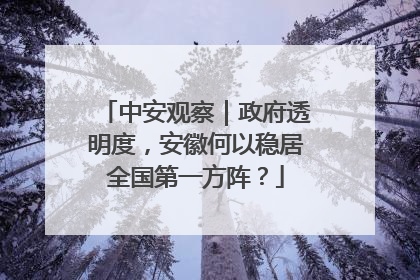 中安观察｜政府透明度，安徽何以稳居全国第一方阵？
