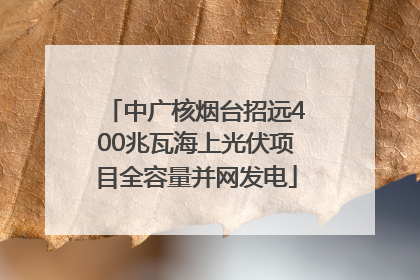 中广核烟台招远400兆瓦海上光伏项目全容量并网发电