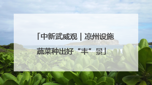 中新武威观｜凉州设施蔬菜种出好“丰”景