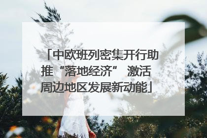 中欧班列密集开行助推“落地经济” 激活周边地区发展新动能