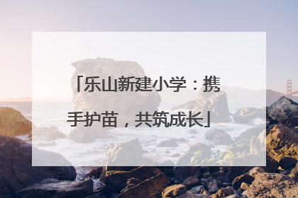 乐山新建小学：携手护苗，共筑成长