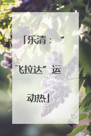 乐清：“飞拉达”运动热