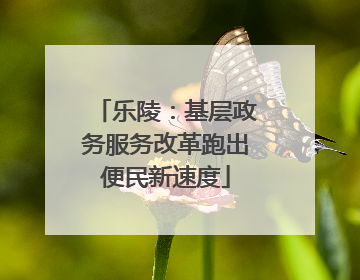 乐陵：基层政务服务改革跑出便民新速度
