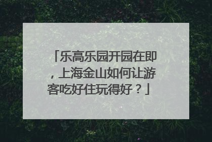 乐高乐园开园在即，上海金山如何让游客吃好住玩得好？
