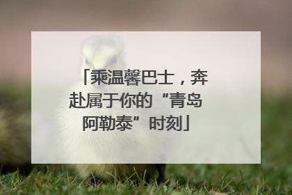 乘温馨巴士，奔赴属于你的“青岛阿勒泰”时刻