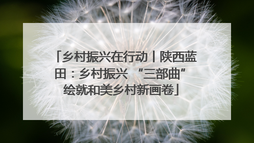 乡村振兴在行动丨陕西蓝田：乡村振兴 “三部曲” 绘就和美乡村新画卷