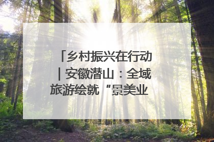乡村振兴在行动｜安徽潜山：全域旅游绘就“景美业兴民富”新画卷