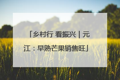 乡村行 看振兴｜元江：早熟芒果销售旺
