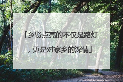 乡贤点亮的不仅是路灯，更是对家乡的深情
