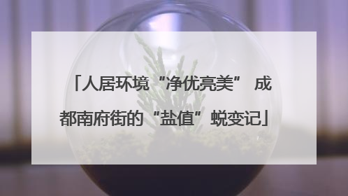 人居环境“净优亮美” 成都南府街的“盐值”蜕变记