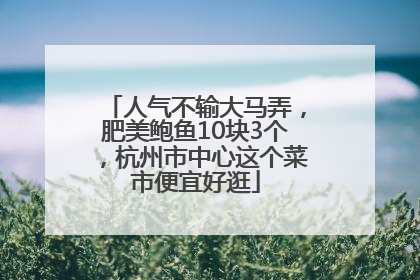 人气不输大马弄，肥美鲍鱼10块3个，杭州市中心这个菜市便宜好逛
