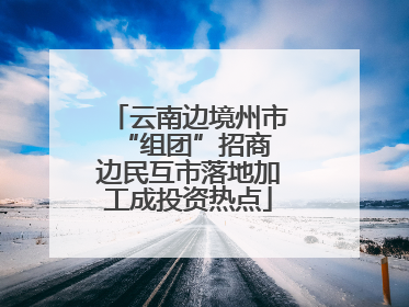 云南边境州市“组团”招商 边民互市落地加工成投资热点