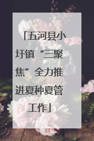 五河县小圩镇“三聚焦”全力推进夏种夏管工作