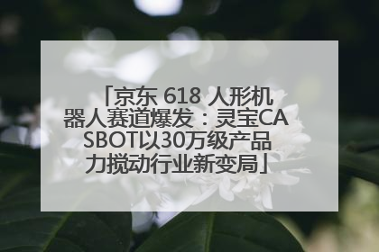 京东 618 人形机器人赛道爆发：灵宝CASBOT以30万级产品力搅动行业新变局