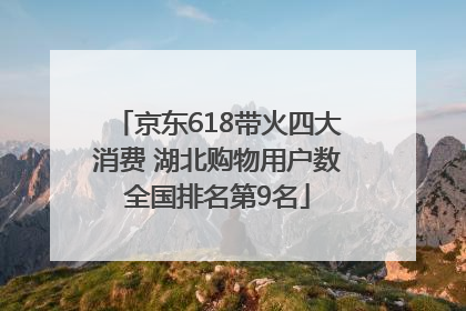 京东618带火四大消费 湖北购物用户数全国排名第9名