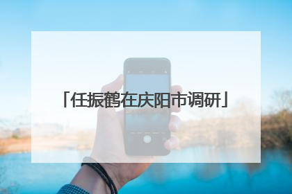 任振鹤在庆阳市调研