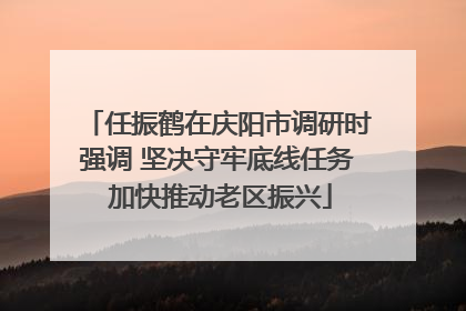 任振鹤在庆阳市调研时强调 坚决守牢底线任务 加快推动老区振兴