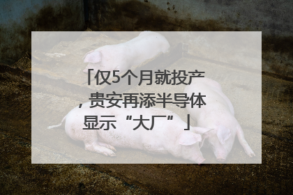 仅5个月就投产，贵安再添半导体显示“大厂”