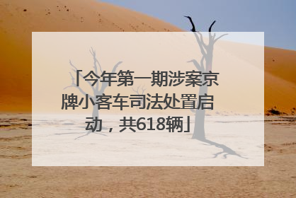 今年第一期涉案京牌小客车司法处置启动，共618辆