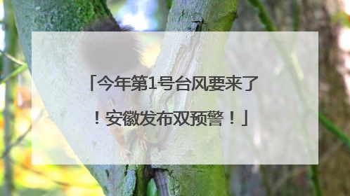 今年第1号台风要来了！安徽发布双预警！