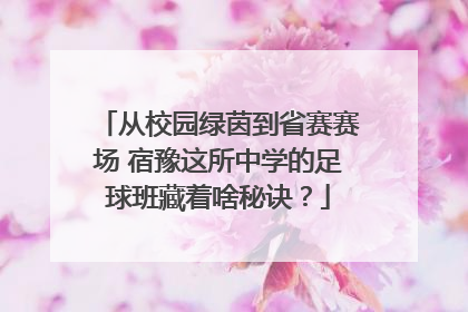 从校园绿茵到省赛赛场 宿豫这所中学的足球班藏着啥秘诀？