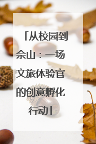 从校园到佘山：一场文旅体验官的创意孵化行动