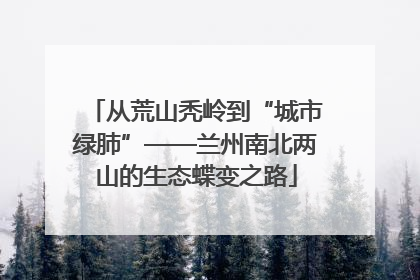 从荒山秃岭到“城市绿肺”——兰州南北两山的生态蝶变之路