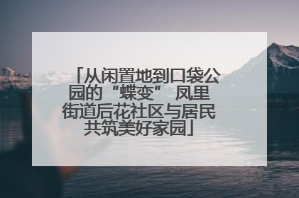 从闲置地到口袋公园的“蝶变” 凤里街道后花社区与居民共筑美好家园