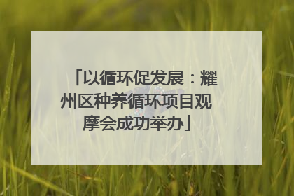 以循环促发展：耀州区种养循环项目观摩会成功举办