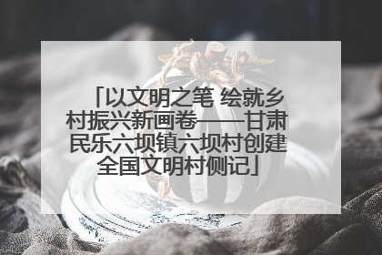 以文明之笔 绘就乡村振兴新画卷——甘肃民乐六坝镇六坝村创建全国文明村侧记