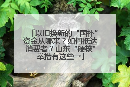 以旧换新的“国补”资金从哪来？如何抵达消费者？山东“硬核”举措有这些→