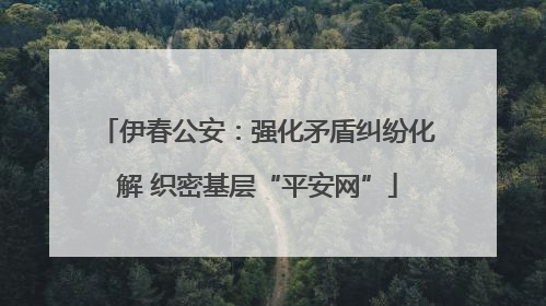 伊春公安：强化矛盾纠纷化解 织密基层“平安网”