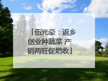 伍光豪：返乡创业种蔬菜 产销两旺促增收