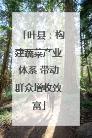 叶县：构建蔬菜产业体系 带动群众增收致富